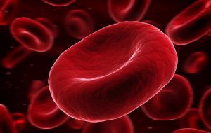 Funciones de los glóbulos rojos