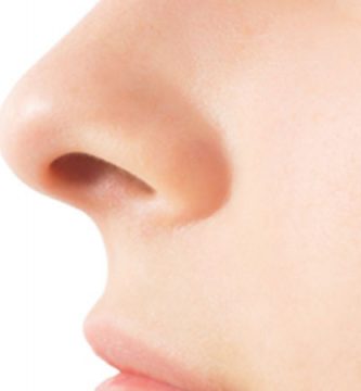 funciones de la nariz