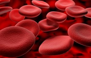 Funciones de la hemoglobina